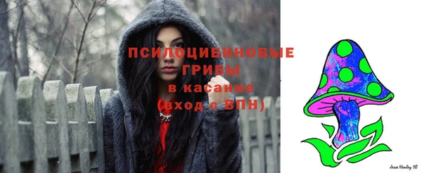 хмурый Алексеевка
