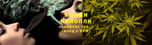 крисы Сатка