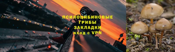 хмурый Алексеевка