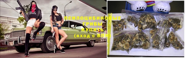 крисы Сатка