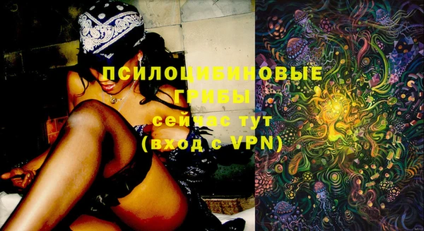 MDMA Premium VHQ Аркадак