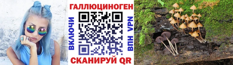 Псилоцибиновые грибы MAGIC MUSHROOMS  где купить   гидра   Ельня 